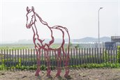 DSC09822