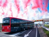 rokki-8332_LR